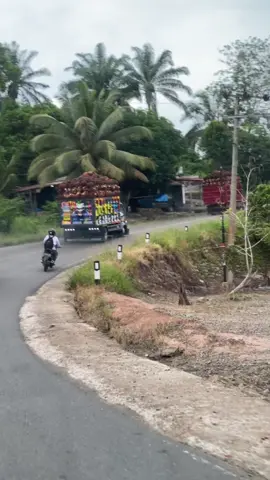 JANGAN  LAMPIASKAN DI GIGI 5 ,NANTI  CEPAT KETEMU TUHAN 🫡@OTO FAZEL @aRgroup @DavidTarihoran94 @asepclower @E. E. E KETEMU LAGI @pindo.sumatra16 #fyp #lewatberanda #mukomuko #trucksawit #trucksawit #VIRAL #mukomuko_bengkulu_indonesia #fypシ #bossmuda #sawitsumatraindonesia🌴🌴🌴 #sawit #tokesawit #sawitontiktok 