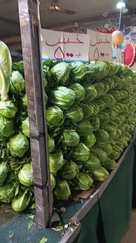 واحد الشعب السيد علاء 