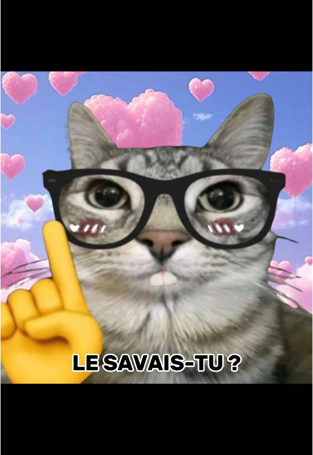le savais-tu ? La Saint Valentin 💌 #dankmemes #chat #catmemes #brainrot #humour #lakaka 