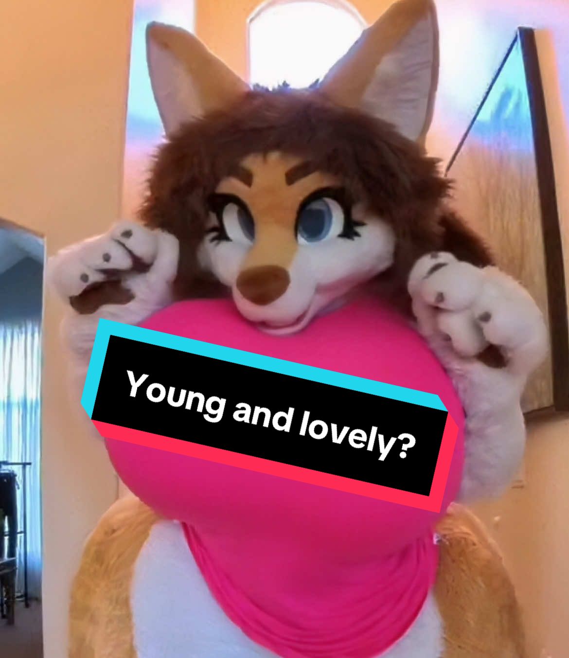 Am I still considered young & lovely?🦊💛 . . #fursuitfriday #furry #fursona #kitsune #fursuit #fursuiter #originalcharacter #cute #fluffy #positivity #meme #funny #fursuitersoftiktok 