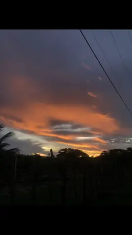 🤍 #sky #livephoto #freetouse 