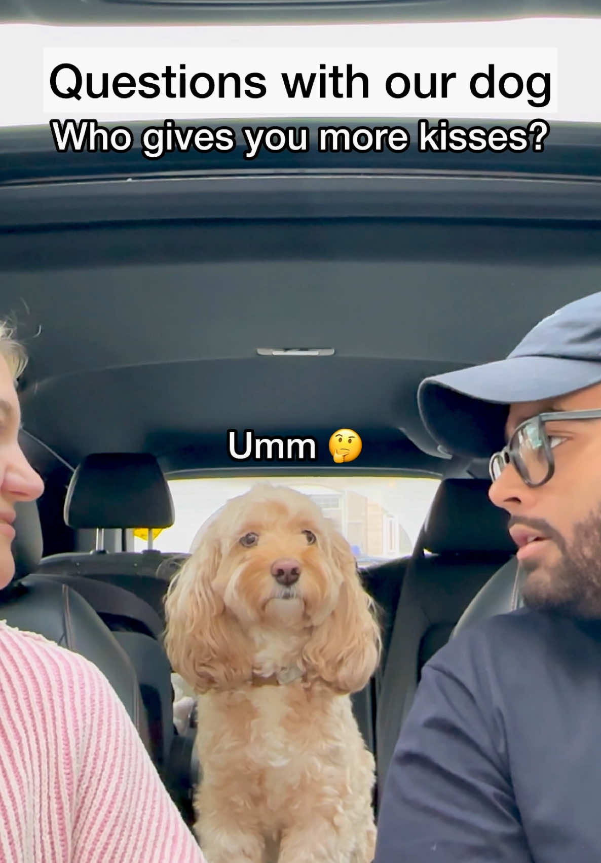 I’m the one with the treats 😳 @Caledon Farms #dogs #caledonfarmspartner #dogsoftiktok #puppylove #dogtok 