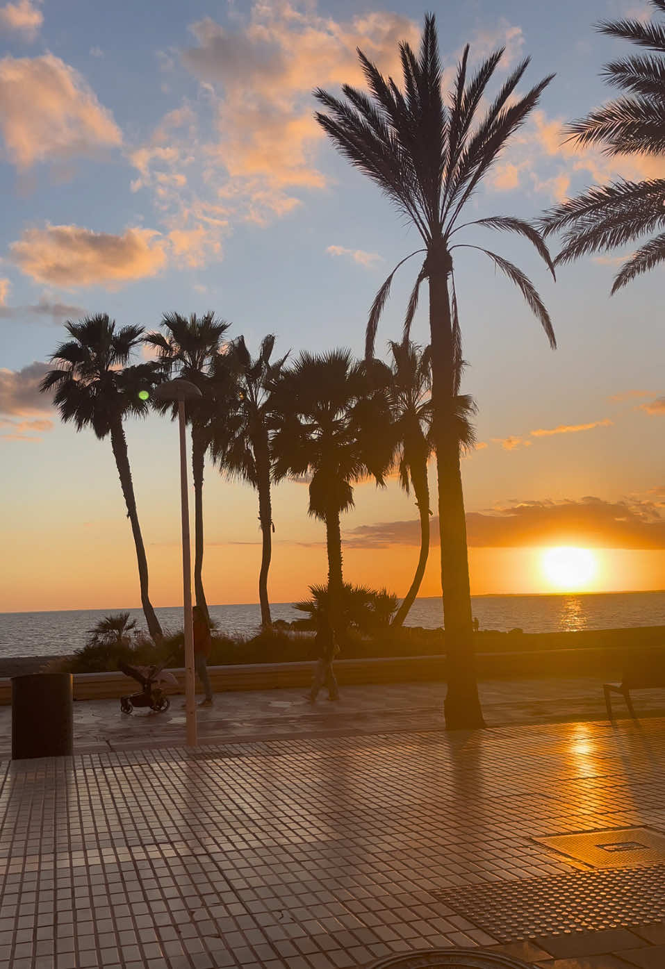 Atardecer hoy en Almeria 🌅🌊🌴 #almería #almeria🌅 #atardeceresperfectos #andalucia🇪🇸 #palmeras #mediterranean 