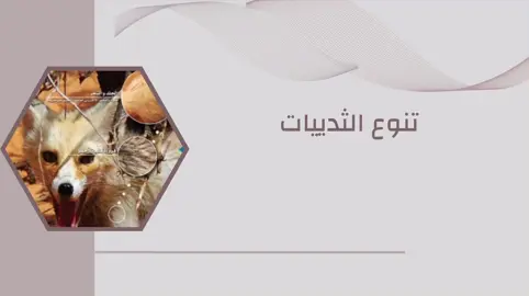 #خدمات_طلابية  #عروض_بوربوينت 