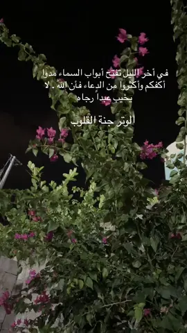 #اكسبلوررررررر #fypシ゚viralシ #الوتر جنة القلوب#في أخر الليل تفتح أبواب السماء مدوا أكفكم وأكثروا من الدعاء فأن اللّٰه . لا يخيب عبداً رجاه