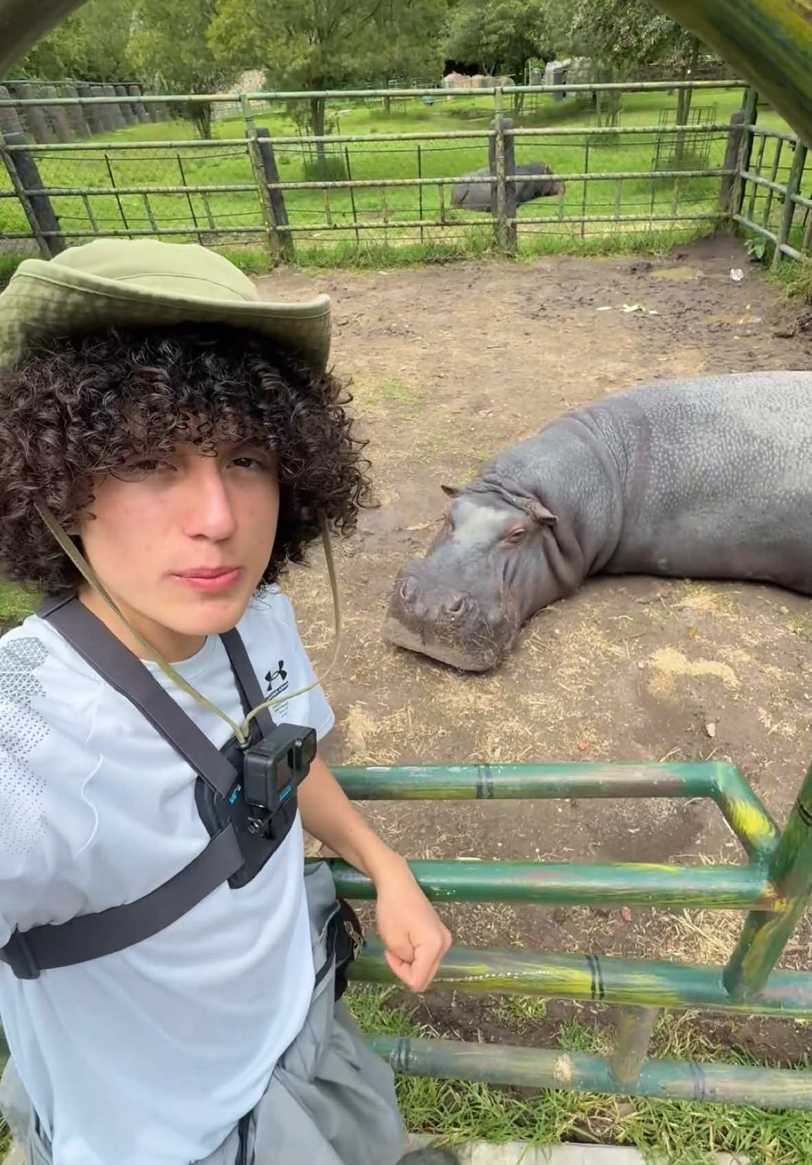 Capture un hipopótamo 2:00  @Fundación Parque Jaime Duque  Gracias por permitirme grabar este gran video 🤝🏻💚