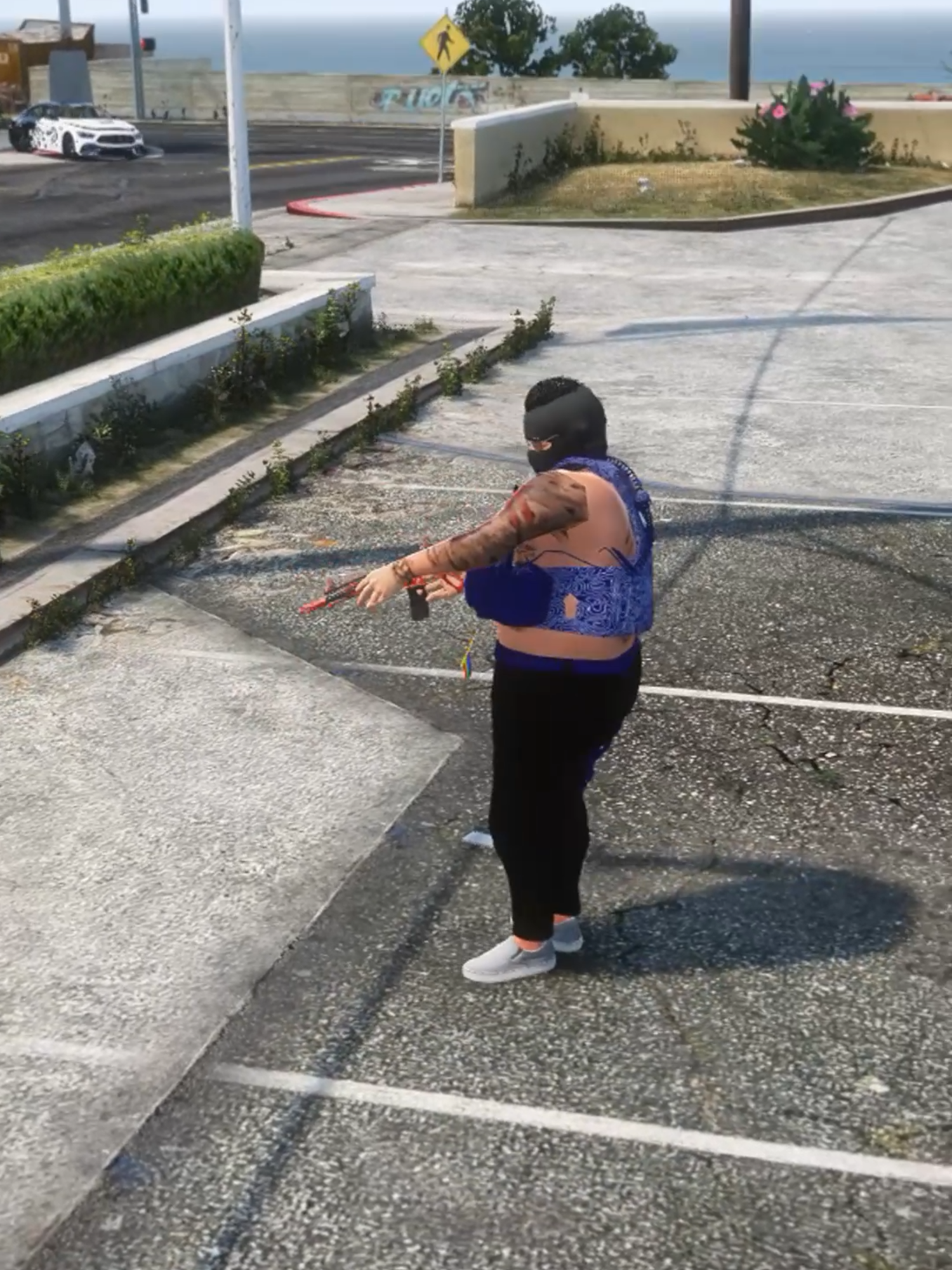 PETAN MDV #ErPrimo #petan #rdjavi #gtav #tuta #kick #fyp #mdv #gta