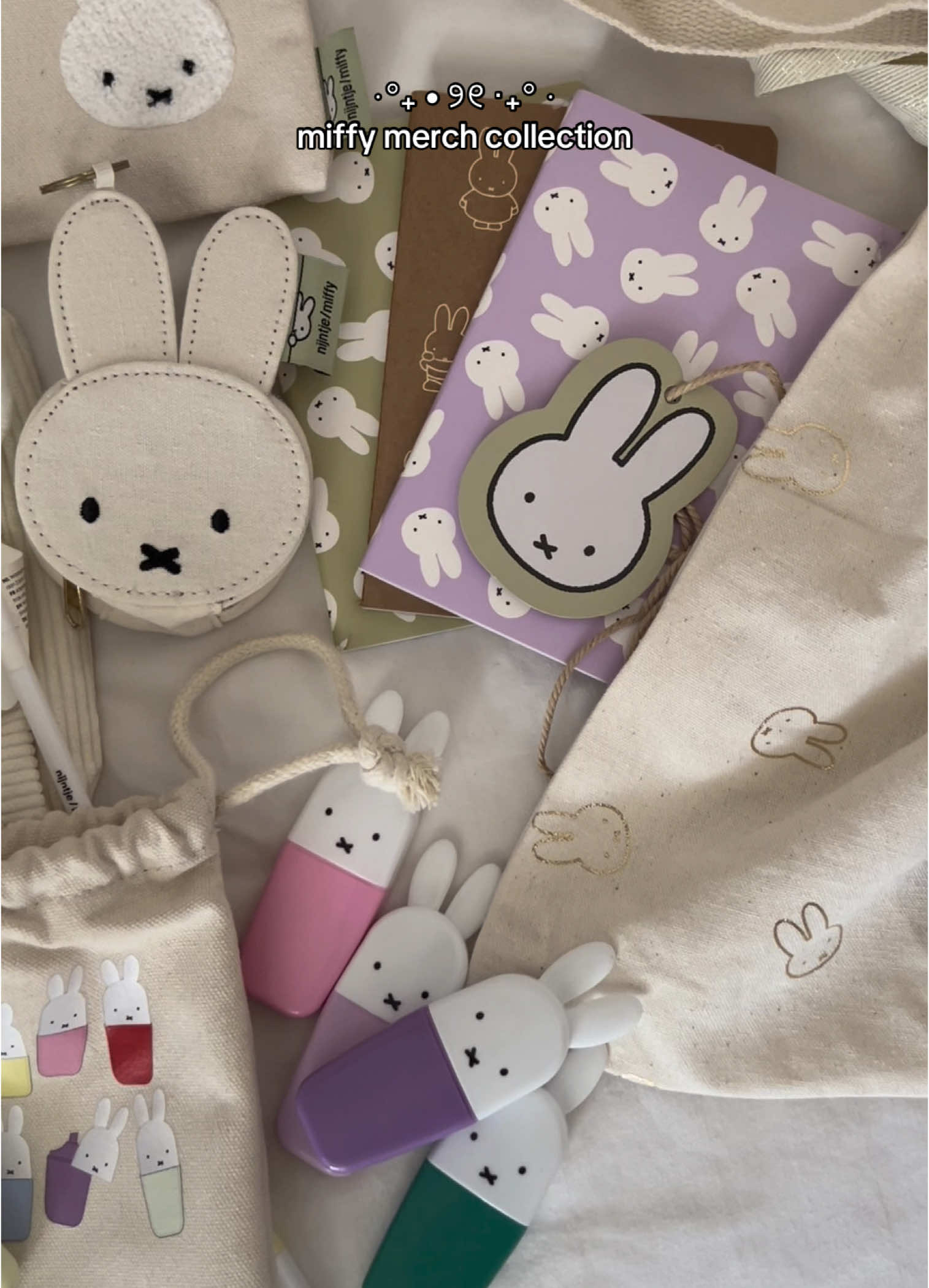 Miffy won my heart 🐰🤍 #miffy #miffycollection #miffymerch #miffyhaul #miffyaesthetic #miffycore #miffy好きと繋がりたい #fyp 