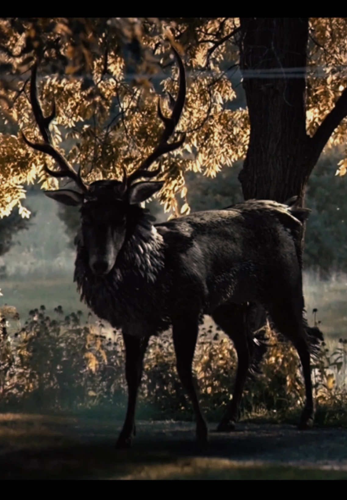 it will come back #hannibalnbc #hannigram #willgraham #hannibal #madsmikkelsen #hughdancy #hannigramedit #hozier #itwillcomeback #hozieredit #hanniballecter #hannibaledit #wendigo #ravenstag #moonyingemini 