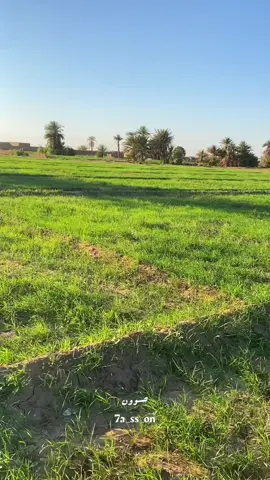 #السودان🇸🇩 #دنقلا #الشمالية🇸🇩♥  #سودانيز_تيك_توك_مشاهير_السودان🇸🇩  #دنقلا_المحس_السكوت_حلفا_اسوان 