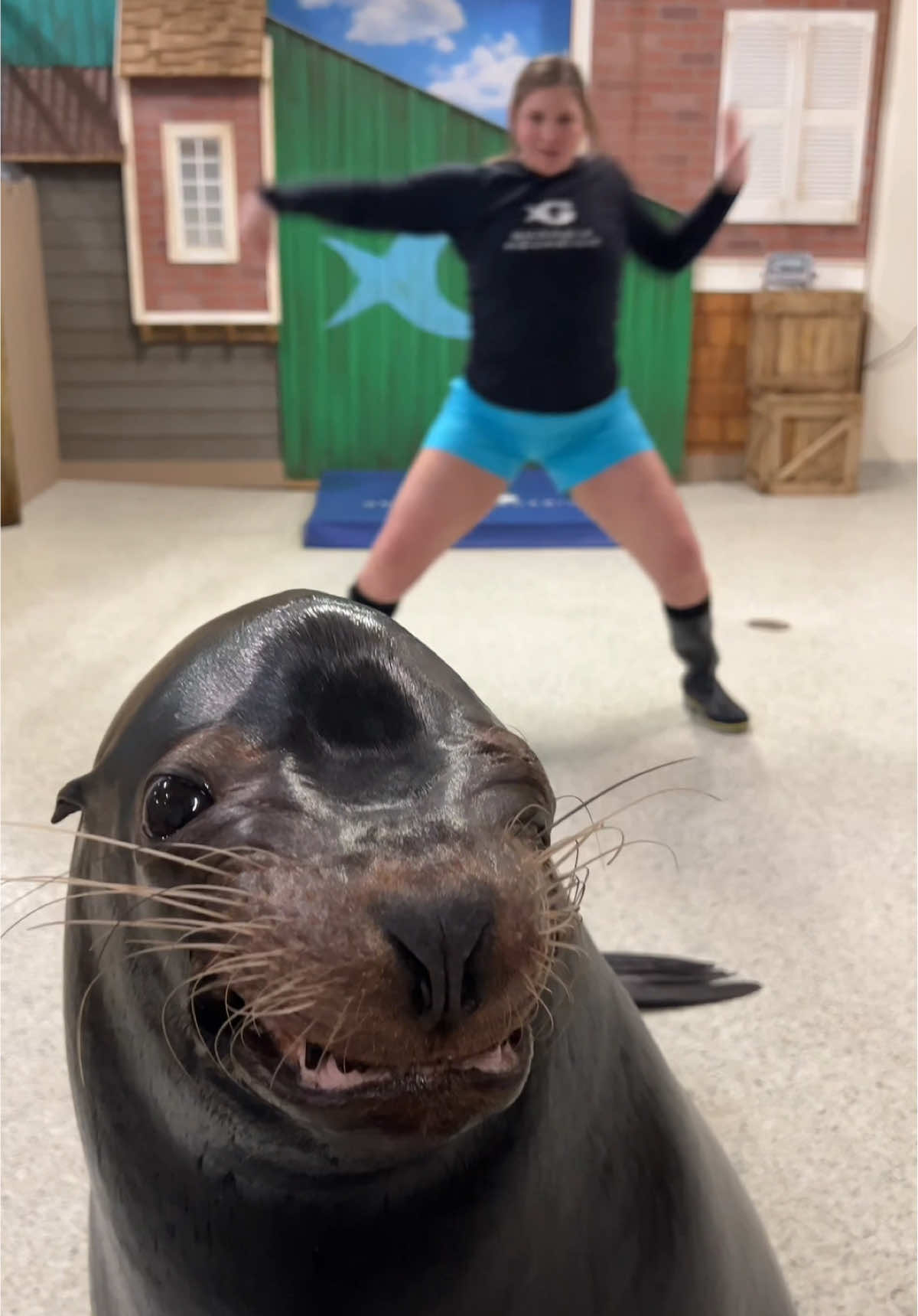 “He’s covering his ears like a pup 🥹”feat. Alex the sea lion 🎶#georgiaaquarium #trend #lalala 