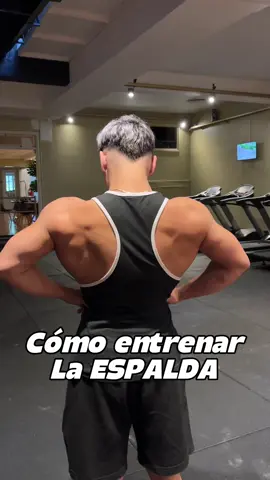 Muta tu espalda masivamente bro #fitnessargentina #consejosgym #backworkout 