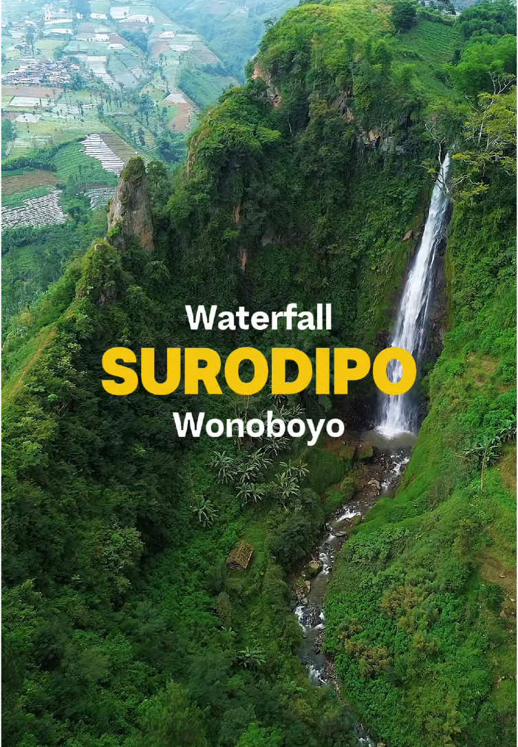 drone view curug surodipo #AlamIndonesia #Curug #DroneViews #NatureDrone #ExploreAlam #DroneShots #CurugIndah #AirViewNature #TikTokDrone #PemandanganAlam #nature #viral #tiktoktrend #tiktoktrending #challenge #WisataTemanggung #Temanggung #ExploreTemanggung #TemanggungTrip #VisitTemanggung #TemanggungTourism #WisataJawaTengah (karena Temanggung terletak di Jawa Tengah) #TravelJawaTengah #TemanggungAdventure #exploreindonesia #JalanJalanTemanggung #TemanggungVibes #WisataJawaTengah #ExploreJawaTengah #HiddenGemsTemanggung #TemanggungTrip #NatureTemanggung #TemanggungPedia #PantaiTemanggung (jika terkait dengan wisata pantai di sekitar Temanggung) #GunungSlamet (karena Gunung Slamet yang terkenal berada di dekat Temanggung) #PesonaTemanggung #CulturalTemanggung (untuk wisata budaya) #WanderlustTemanggung #BackpackingTemanggung #jarankepangtemanggung #DroneView #DroneShot #AerialView #AerialPhotography #DronePhotography #DroneShots #AerialVideo #DroneVibes #SkyView #FromAbove #DroneLife #FlyWithMe #DroneLovers #LandscapeFromAbove #FlyingHigh #BirdsEyeView #SkyShots #DroneWorld #AerialPerspective #viewfromabove #Waterfall #WaterfallLovers #WaterfallPhotography #WaterfallView #NatureLovers #ExploreWaterfalls #WaterfallAdventure #HiddenWaterfall #ChasingWaterfalls #WaterfallVibes #WaterfallHike #NatureShots #WaterfallMagic #WaterfallExploration #WaterfallTherapy #MajesticWaterfalls #Freshwater #NaturePerfection #BeautifulWaterfalls #waterfallwonders #Curug #CurugIndonesia #ExploreCurug #CurugCantik #CurugAdventure #NatureCurug #HiddenCurug #CurugVibes #AirTerjun #CurugIndah #ChasingCurug #WaterfallCurug #CurugBeauty #CurugTersembunyi #WisataCurug #NatureLovers #NatureIndonesia #PesonaCurug #CurugJourney #exploreairterjun 
