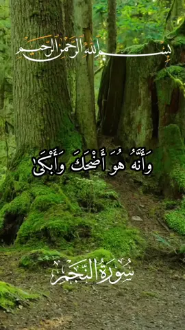 قرآن_Quran#وأنه_هو_أضحك_وأبكى #سورة_النجم #عبد_الباسط_عبد_الصمد #القرآن_الكريم #quran_alkarim #تلاوات_قرآنية #تلاوات_خاشعة #آيات #راحة_نفسيه #راحة #اكسبلورexplore 