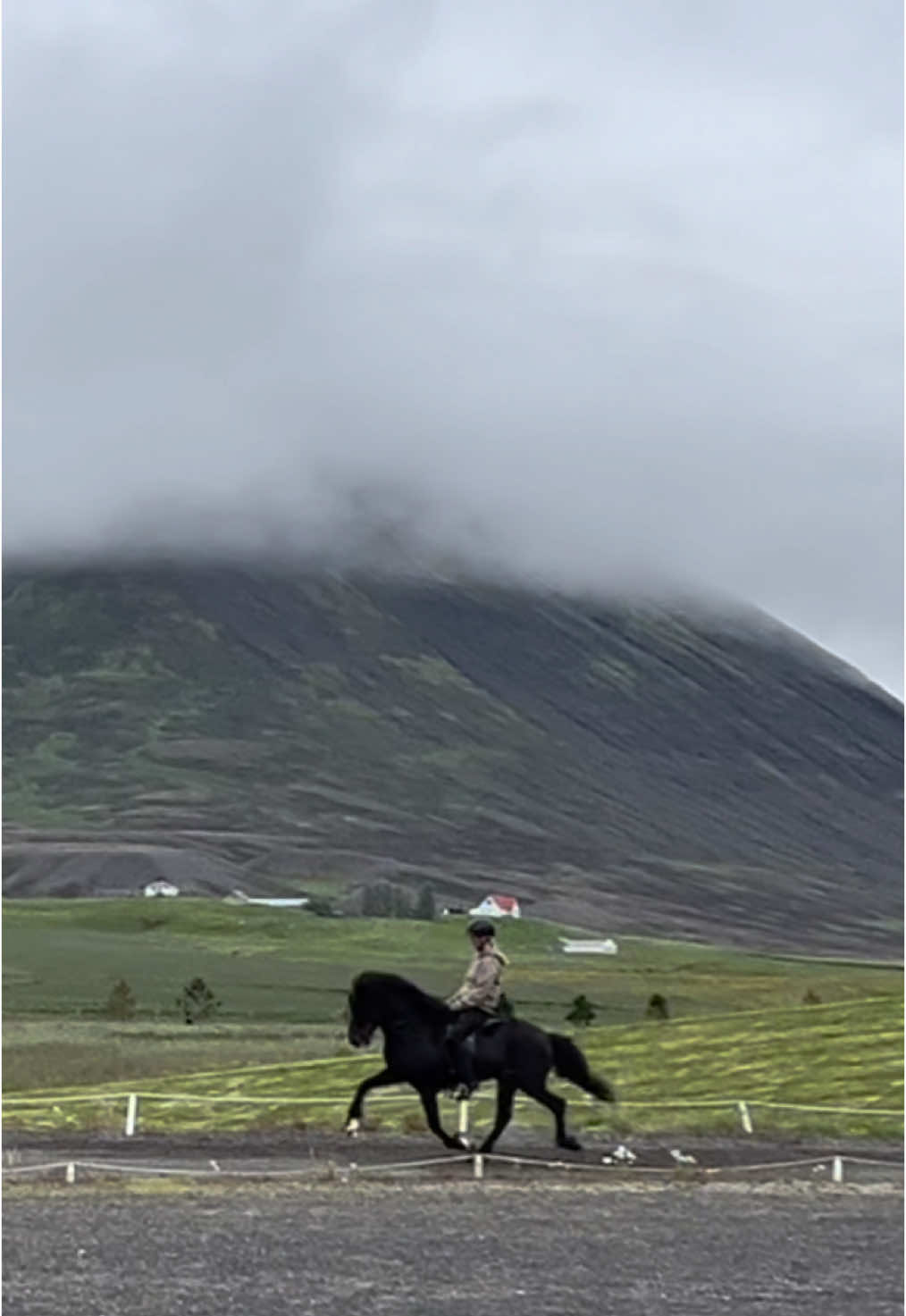 Looking back at good summer memories with Djarfur 😇✨🫶🏻 #Djarfurfráflatatungu#Summer#tölt#equestrian#stallion#equestrianoftiktok#icelandichorse#islandshäst #fivegait 