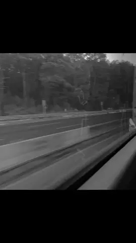 te amo Ed #fyp #edmaverick #musica 