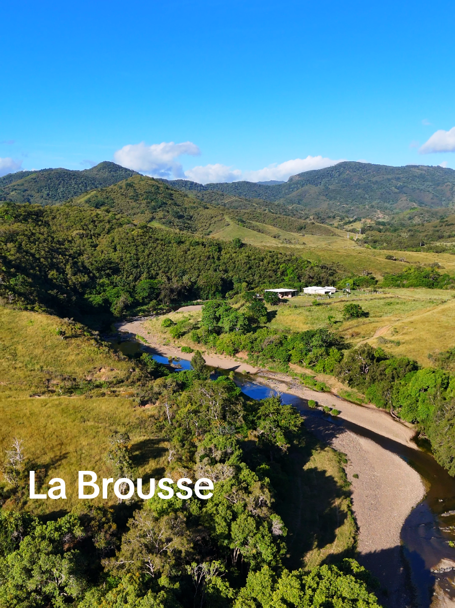 The Best Life in Brousse, | | Nepoui/Pouembout, New Caledonia 🌴☀️🌊 #NewCaledonia #Brousse #Paradise #Travel #IslandLife