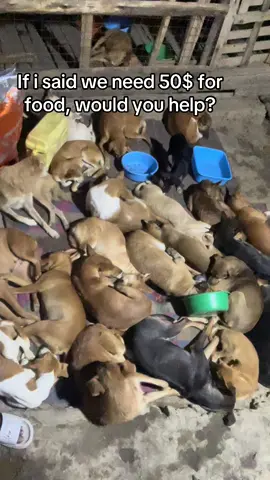 If i said we need 50$ for food, would you help?