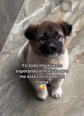 Y sabe tan delicioso 😍 #humor #comedia #parati @reyesbeats 👈🏻 mas contenido😃