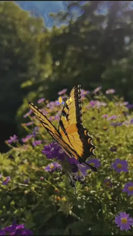 #demiparami #amorpropio♡ #pazmental #fe #ella #edits 