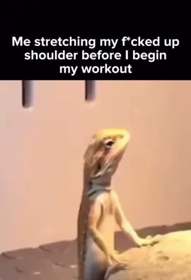 Stretching a bum shoulder 🤣 #gym #stretching #workout #animals #lizards