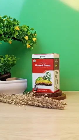 Kapsul Gamat Emas Asli BPOM dan Halal #gamatemas #kapsulgamatemas #rumahherbalshop