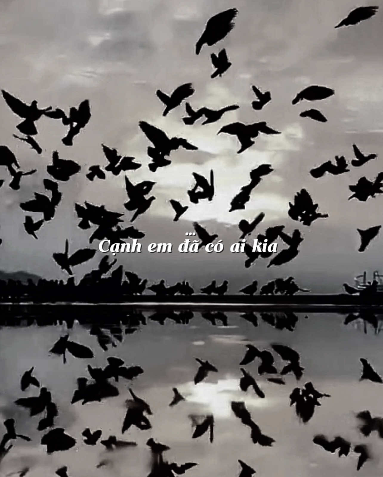 Đã hạnh phúc sao cần thêm anh.!?#xuhuong #music #nhachaymoingay #nhachay #conefide_one #fypシ #1997🚬 