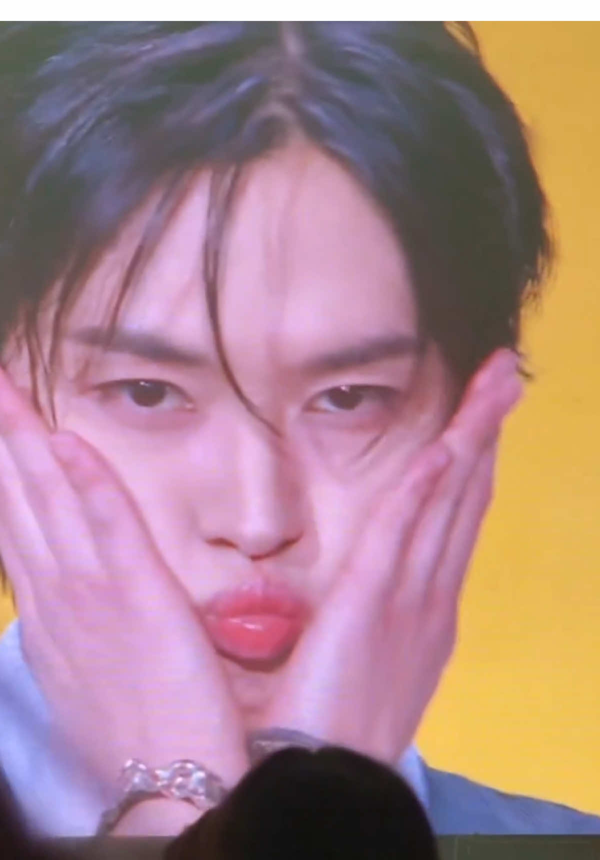 🐱♥️ #leeknow #straykids 