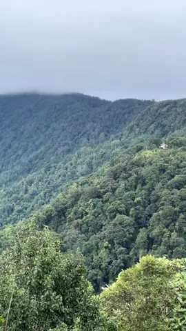 #maninjau #kabupatenagam #sumbartiktok #danaumaninjau #danau #puncaklawangsumbar 