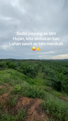 😜🤙#pypシ #sawitkalimantan #masukberandafyp #sawit #petanimuda #petanisawit #sawitkalimantan🌴🌴🇮🇩 