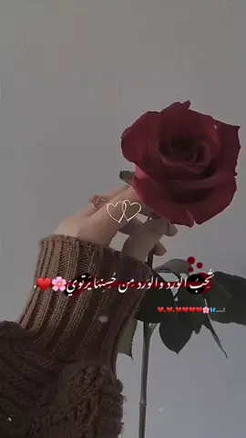#♥️🌸 #🦋🌹 