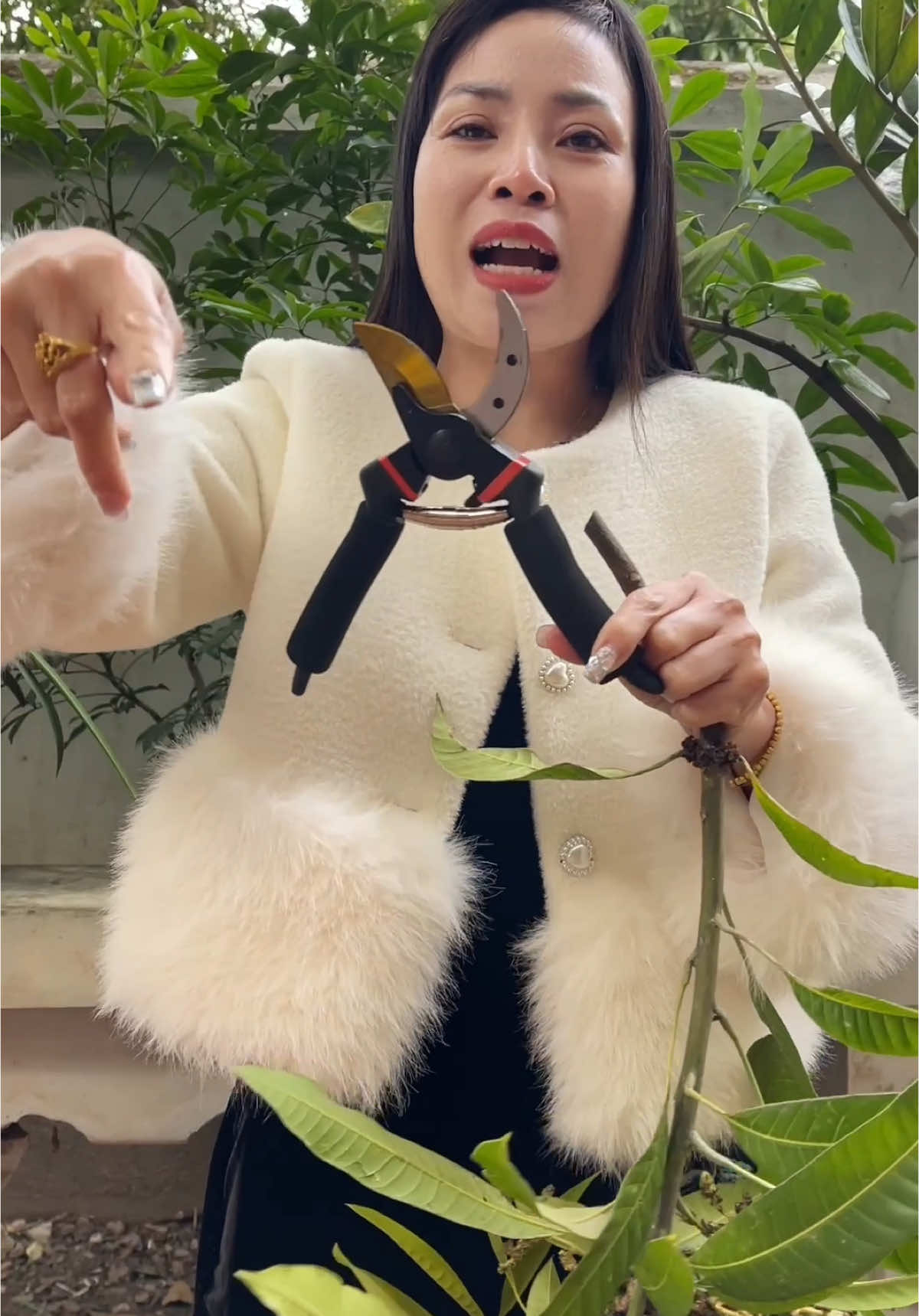 Không phải 200k đâu hôm nay chỉ còn giá mấy chục nghìn thôi #keocatcanh #keocatdanangsk5 #keocat #hahienhoa1 #xuhuong 