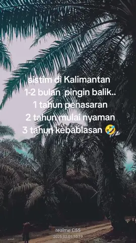 tukang loding sawit