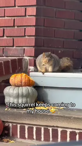 An absolute UNIT 🤣 @Barstool Outdoors (via romiebaloney/ig)