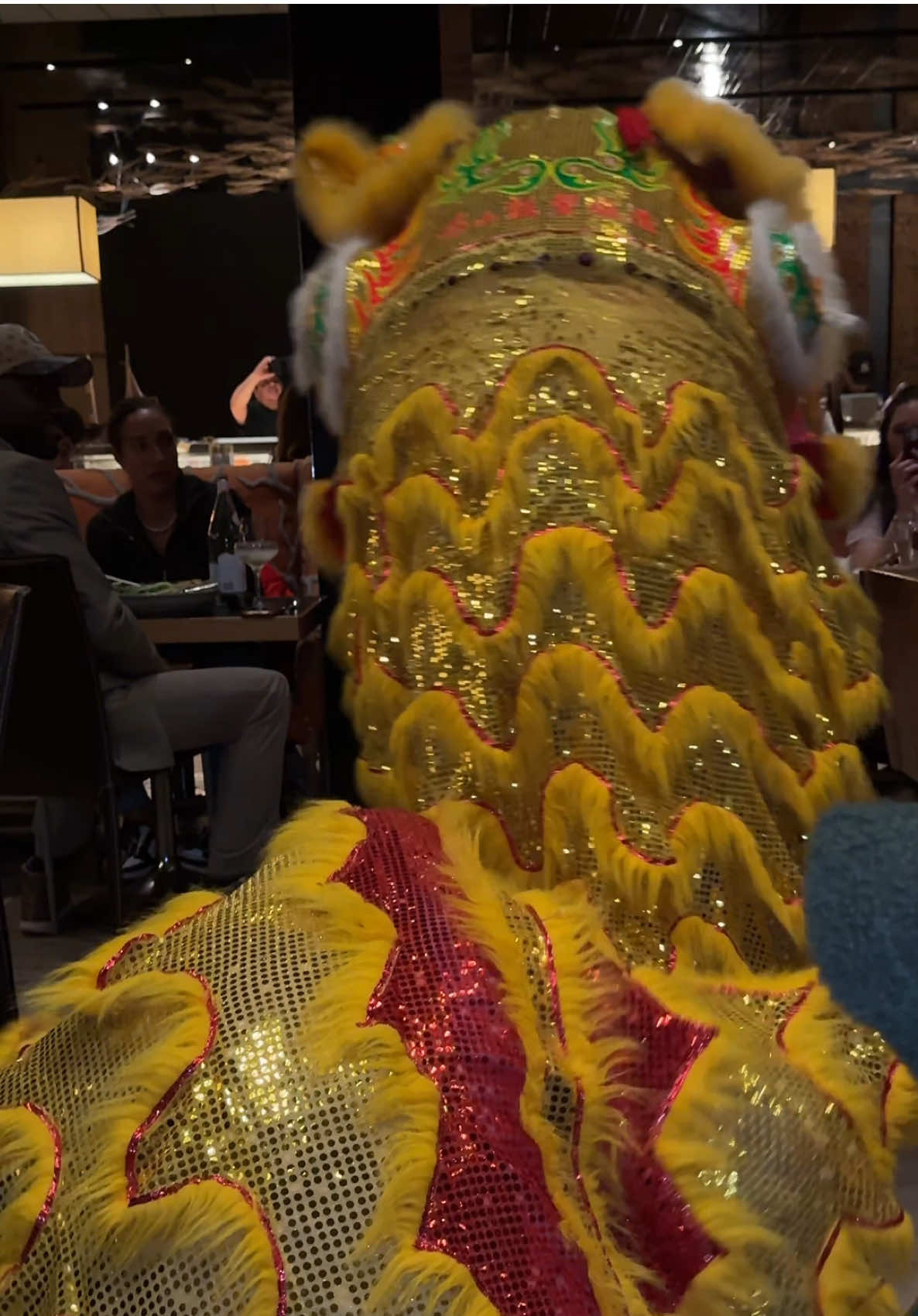 POV: you got invited to a Lunar New Year dinner @Sunda New Asian & they told you’d there’d be a live performance  Happy {Lunar} New Year 🧧 #chicago #chicagotiktok #chicagorestaurants #lunarnewyear #sunda #rivernorth #chicagoeats 