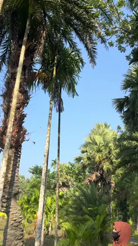 #fypシ #viralvideo #Trending🔥 #1millionaudition #محکمہ_پولیس  #openocean #sealife #fishingvideos #samandri #fishing #peace #sunsets #CapCut 