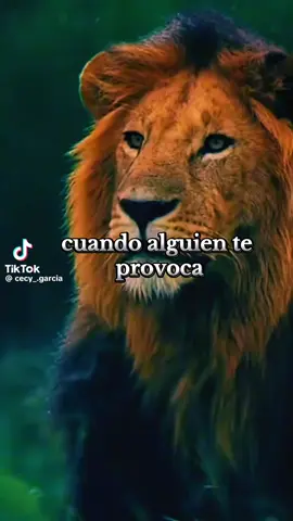 #si Dios conmigo quien contra mi 