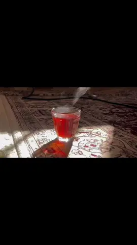 #كسبلور_explor #تصويري #شاي #تصويري_احترافي_الاجواء👌🏻🕊😴 #كيف_تصور_تصوير_احترافي #محظور_من_الاكسبلور🥺 #fyp #foryou 