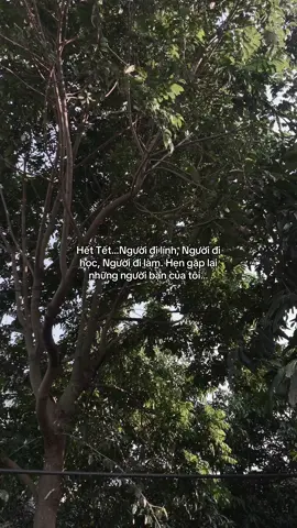 …#tamtrang #story 