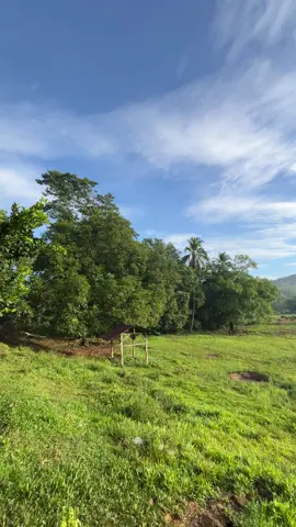 pang myday mo boss #fyp #nature #bukid #prank #naturevibes #province 