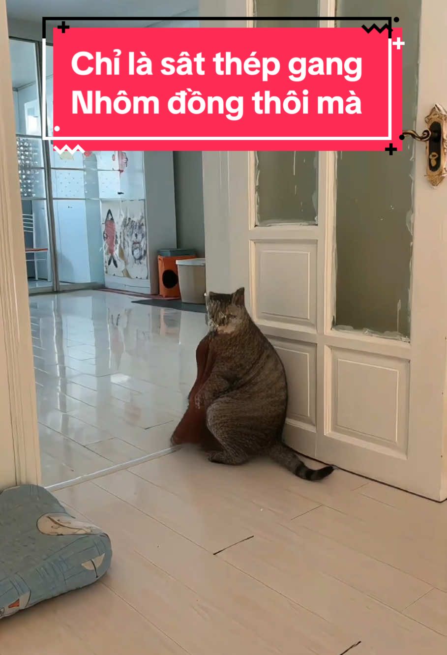 Sắt thép gang nhôm đồng #xuhuong #hàihước #giaitri #vuinhon #phaidepngaynay #nhachaymoingay #giaitri_amg #cuoibebung #vacaiket 