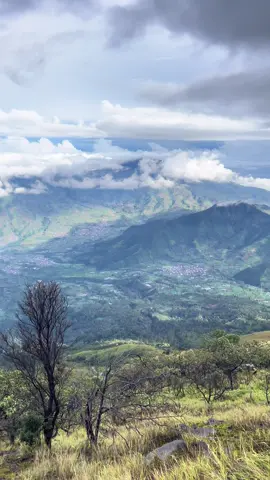 Walaupun siang tetap indah 😁 #pendakigunung #gunung #gunungsindoro #tektok #vibes #xyzbca 