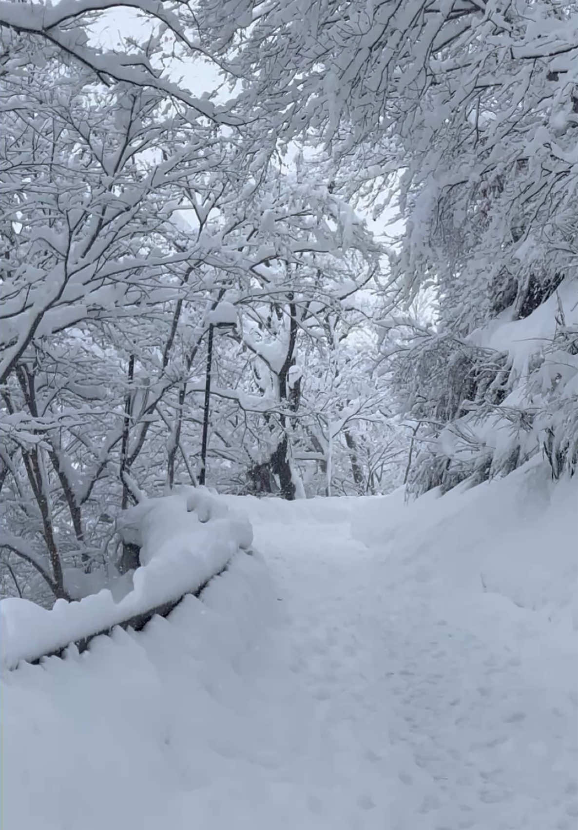 🌨️❄️⛄️ #winter #wintervibes #winterishere #memories #shirakawago #gifu #snow #snowman #snowdrop #winterbreak #follow #nihonvoyages #fyp #fypage #fyppppppppppppppppppppppp #foryou #foryoupage #foryoupageofficiall #tiktok #tiktokviral #tiktokuni #trending #trendingsong #viral #viralvideo #viraltiktok #japan #japantravel #travel #traveltiktok #beautifuldestinations 