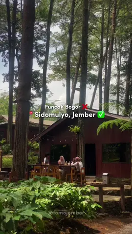 KAFE DI TENGAH HUTAN PINUS SIDOMULYO Cafe baru yang masuk list wajib kalo lagi di Jember, cafe mungil di tengah rimbunnya hutan pinus sidomulyo, lokasinya cukup mudah dijangkau karna ada di jalan utama perbatasan Jember - Banyuwangi. Karna masih baru dan tiba2 viral, waktu pelayanan masih perlu ditingkatkan, makanan dan minuman sangat affordable (rata2 10ribuan) FYI : usaha ini dikelola oleh Koperasi Tirto Gumitir Sejahtera Bahagia yang dimiliki anak yatim piatu desa sidomulyo. 📍@cafegapuro.sidomulyo 🗺 Sidomulyo, Jember  #sidomulyo #cafegapuro #kafejember #kafeviral #viraljember #cafejember #explorejember #infojember #kulinerjember #coffeeshopjember #coffeeshopindonesia #kulinerjember #makananjember #jember24jam #jembertiktok 
