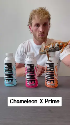 Lalogan Paul featuring a Chameleon changing colour according to the bottle he step on. #loganpaul #prime #fyp 