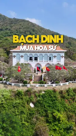 Bạch Dinh mùa hoa sứa, check in cực đẹp luôn #dulichtinhbariavungtau #anchoivungtau #xuhuong #fyp #bachdinh #vungtau #dulichvungtau #checkinvungtau 