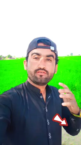 paj sall the waya he TikTok halaiindi I don't under review my video TikTok Team #foryoupage #foryou #viral #video #unfrezzmyaccount #viralmyvideo #jamalkhan110 #karachi #lahore #powerkapunch #1millionaudition #100k 