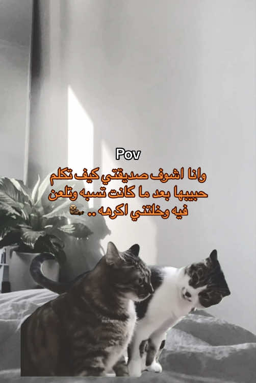 اقدر اقول مقصوده ، فعلاً مصدومه #السعودية🇸🇦 #اكسبلورexplore 