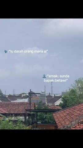 lu darah orang mana si