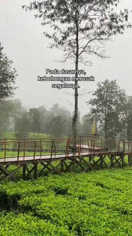 Kalo udah di bohongin sekali, untuk ngebangun kepercayaan lagi itu sulit. #fypシ #fyp #fypdongggggggg #foryoupage #sadstory 